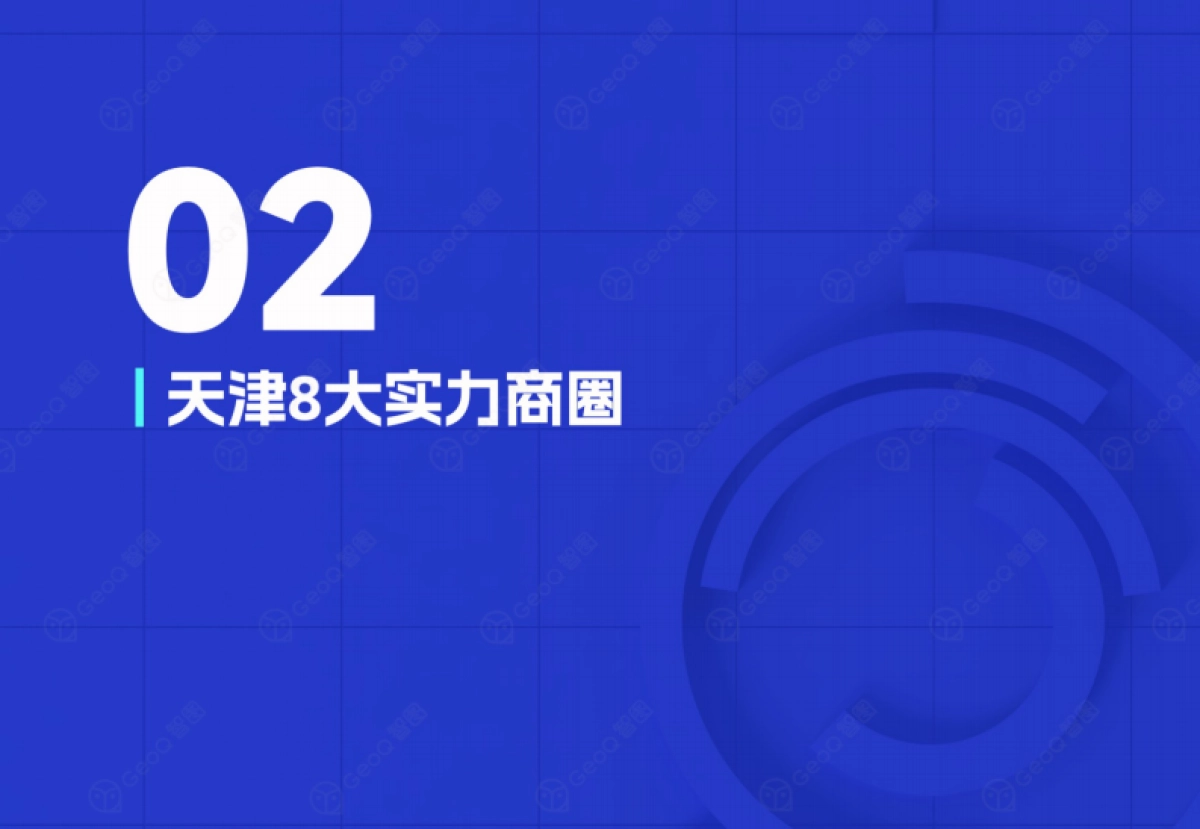 天津2025年商圈蓝皮书-GeoQ智图_第8页