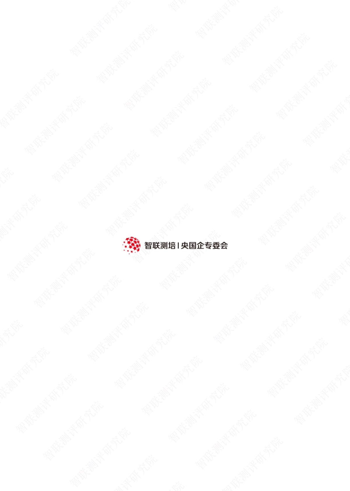 2025年央国企人才激励白皮书——薪酬与绩效创新、长效提质增效-智联测评研究院_第2页