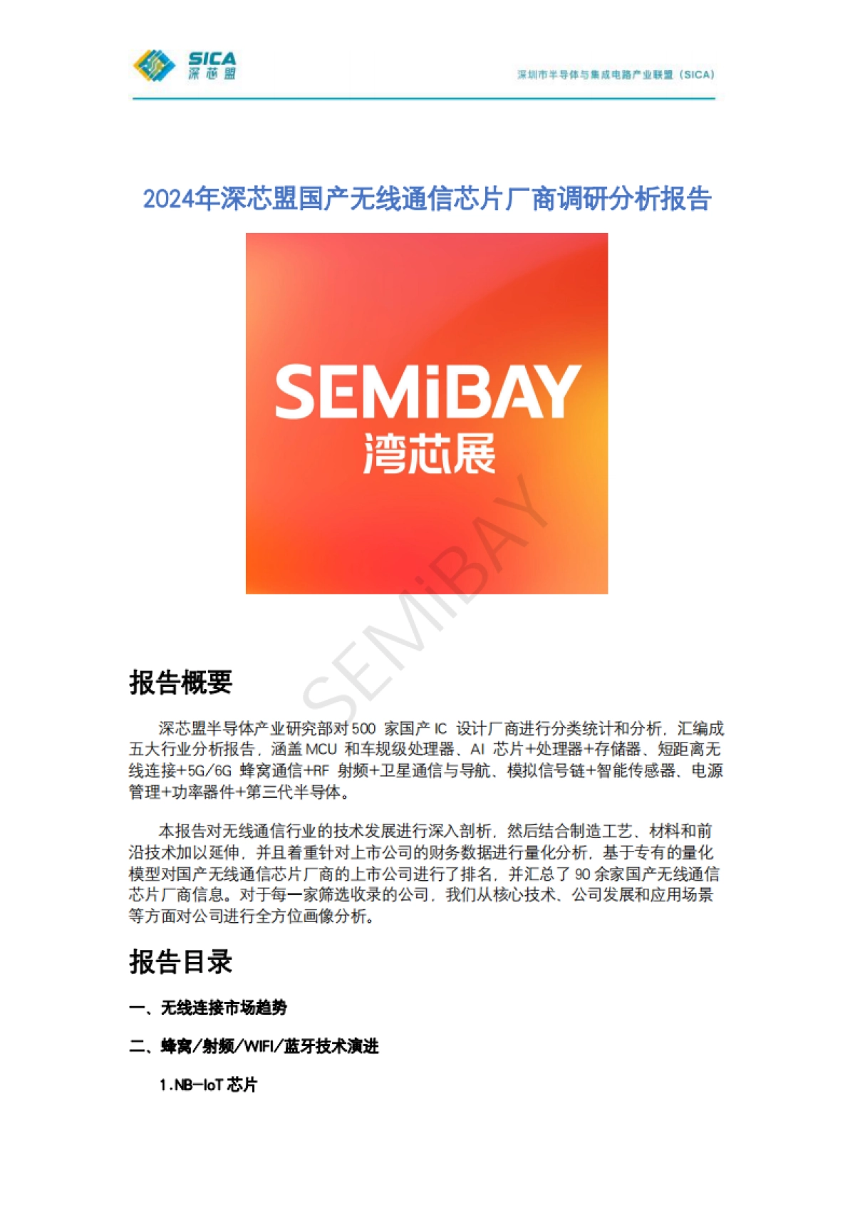 2024年深芯盟国产无线通信芯片厂商调研分析报告-深芯盟_第1页