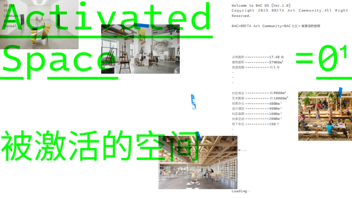 非标商业BAC品牌手册_第6页