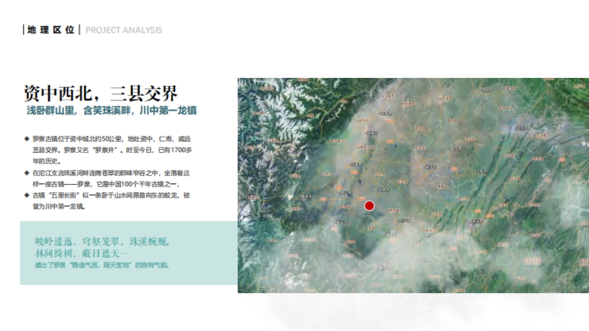 四川资中盐业古镇提质升级总体规划运营策划方案_第8页