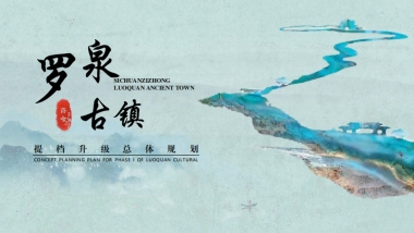 四川资中盐业古镇提质升级总体规划运营策划方案