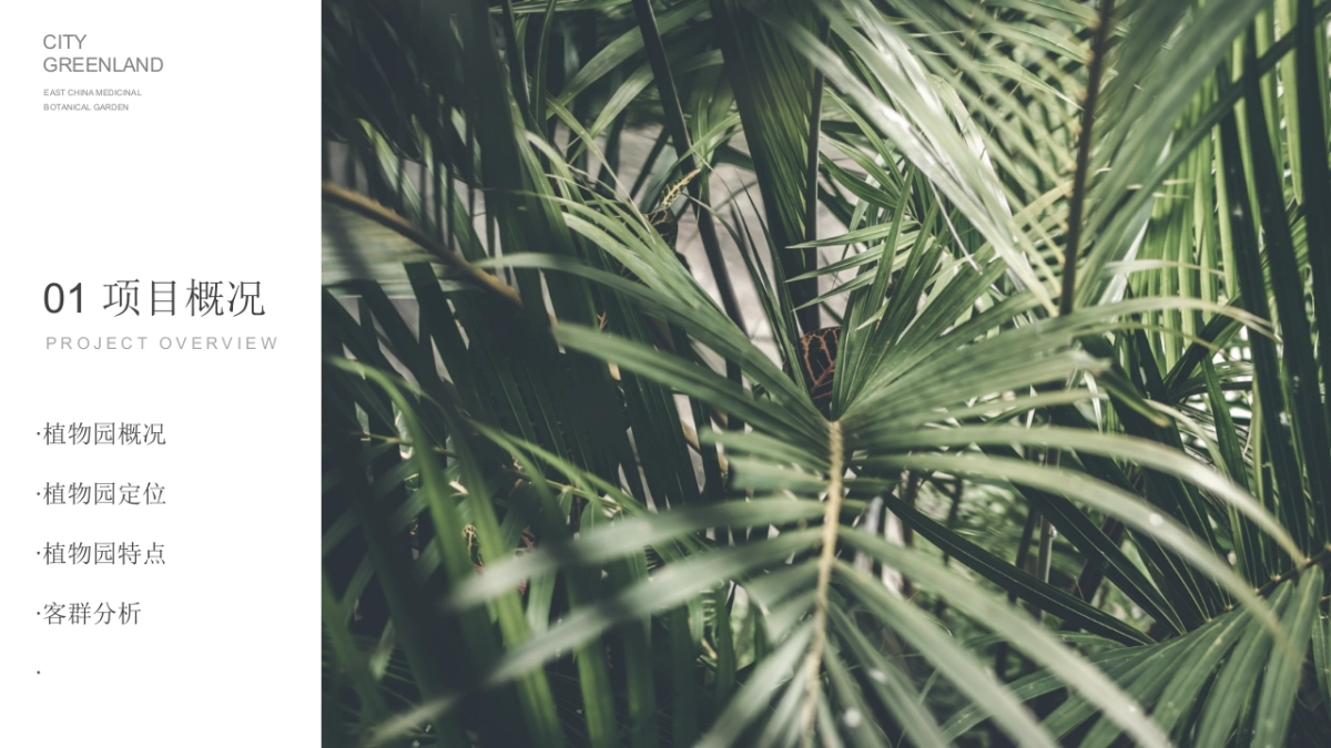 2024生态旅游新地标城市药用植物园年度公关活动方案_第3页