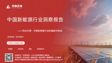 2024年新能源行业洞察报告