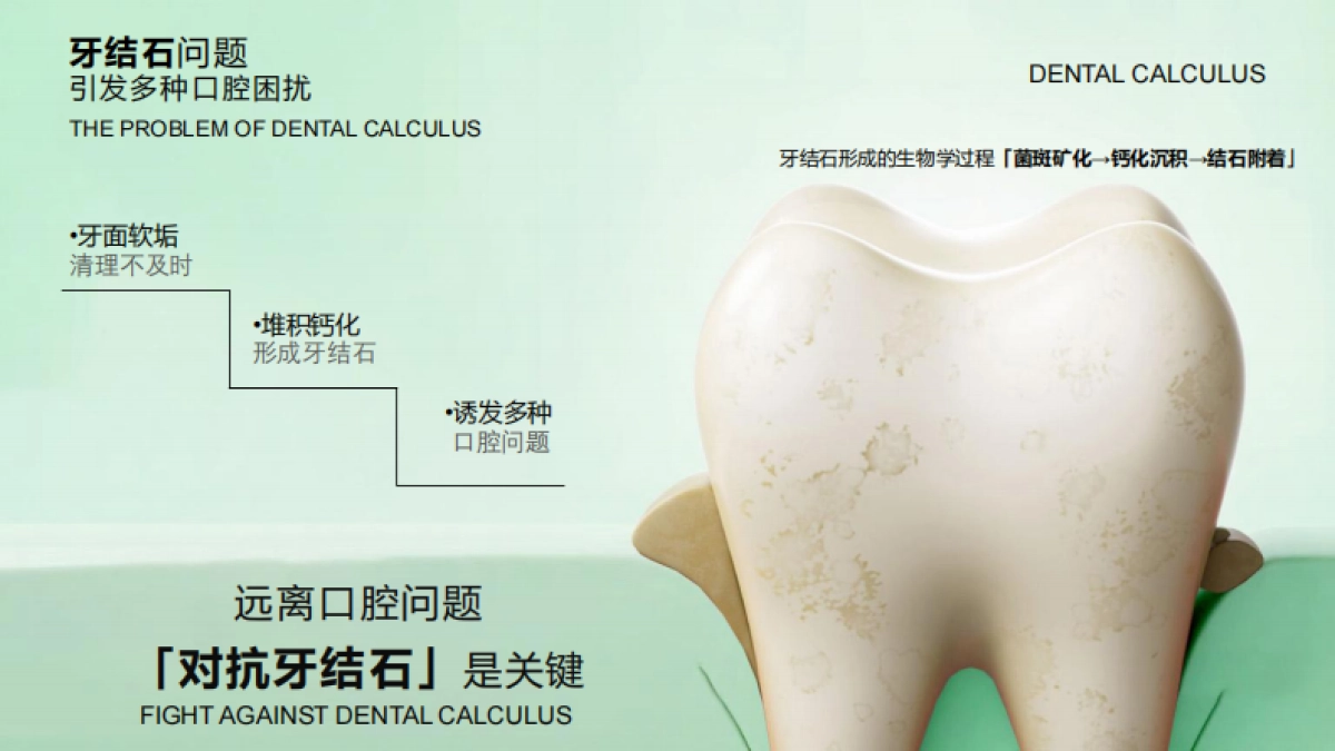 牙膏提案brief_第7页