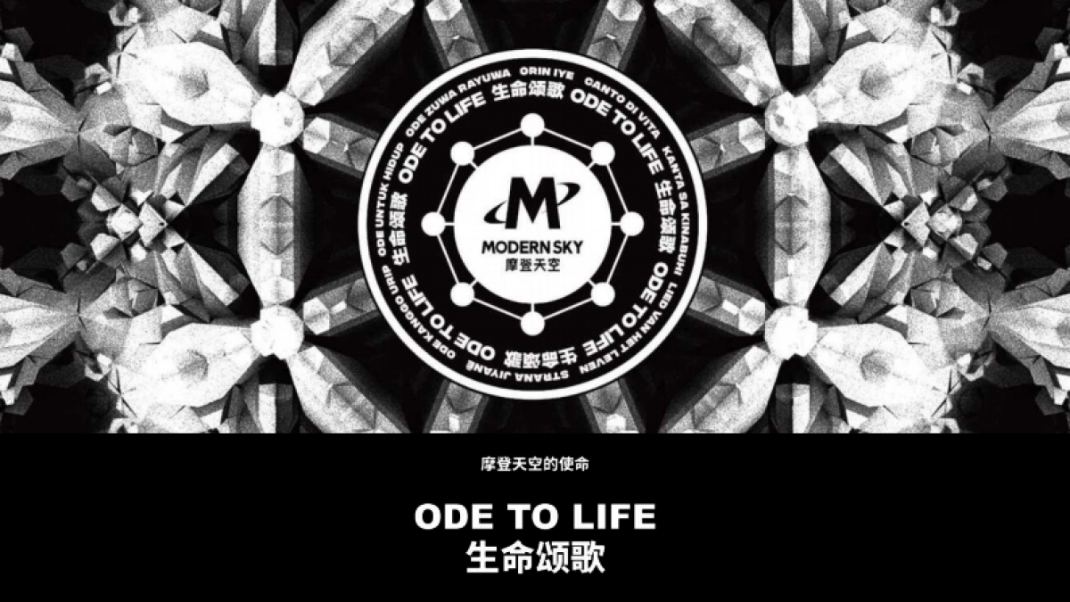 2022草莓音乐节方案_第2页