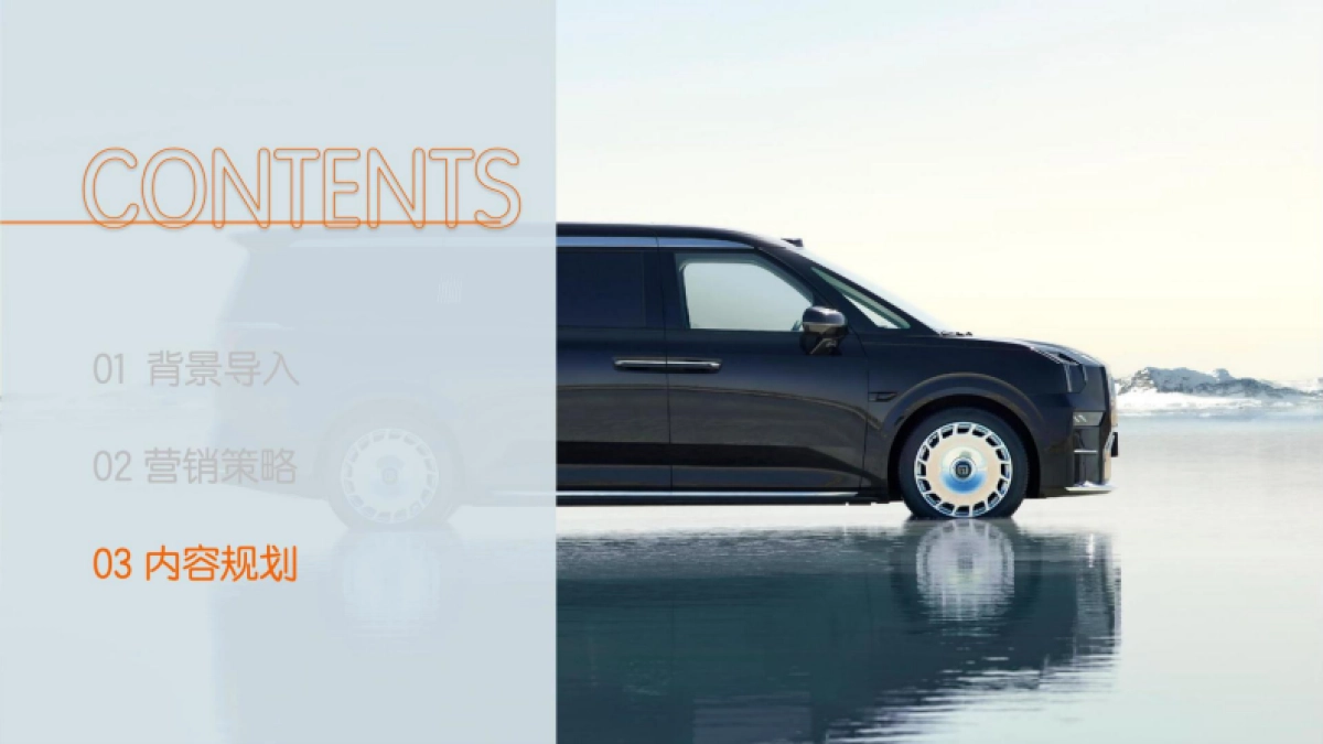 极氪汽车中心店IP引流方案_第9页