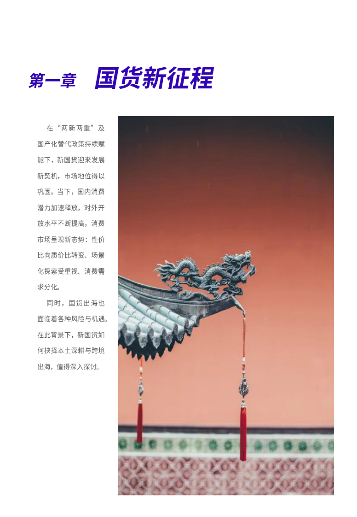 2025新国货CoolTop100品牌榜:新国货的硬核内功与软叙事-千骑卷平冈_第4页