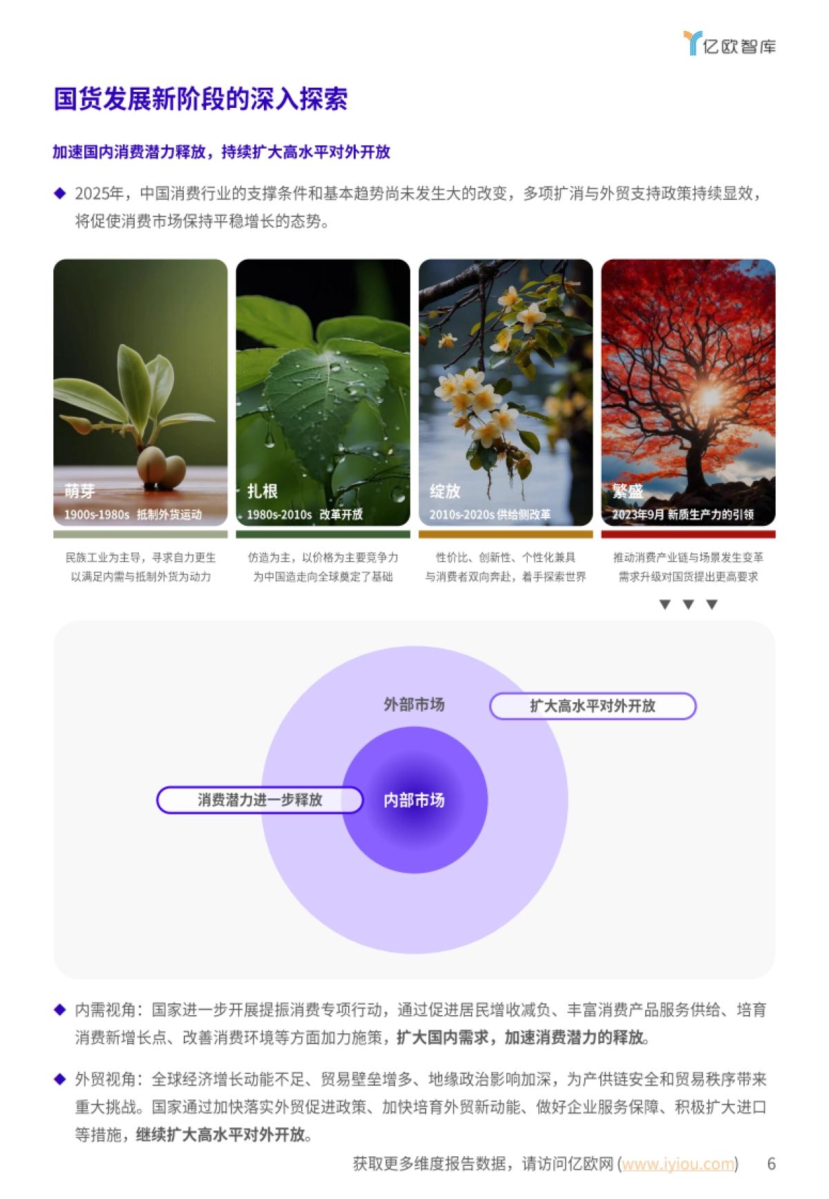 2025新国货CoolTop100品牌榜:新国货的硬核内功与软叙事-千骑卷平冈_第6页