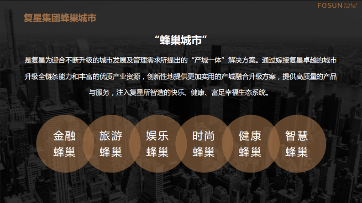 城市商业地标项目定位招商手册_第6页