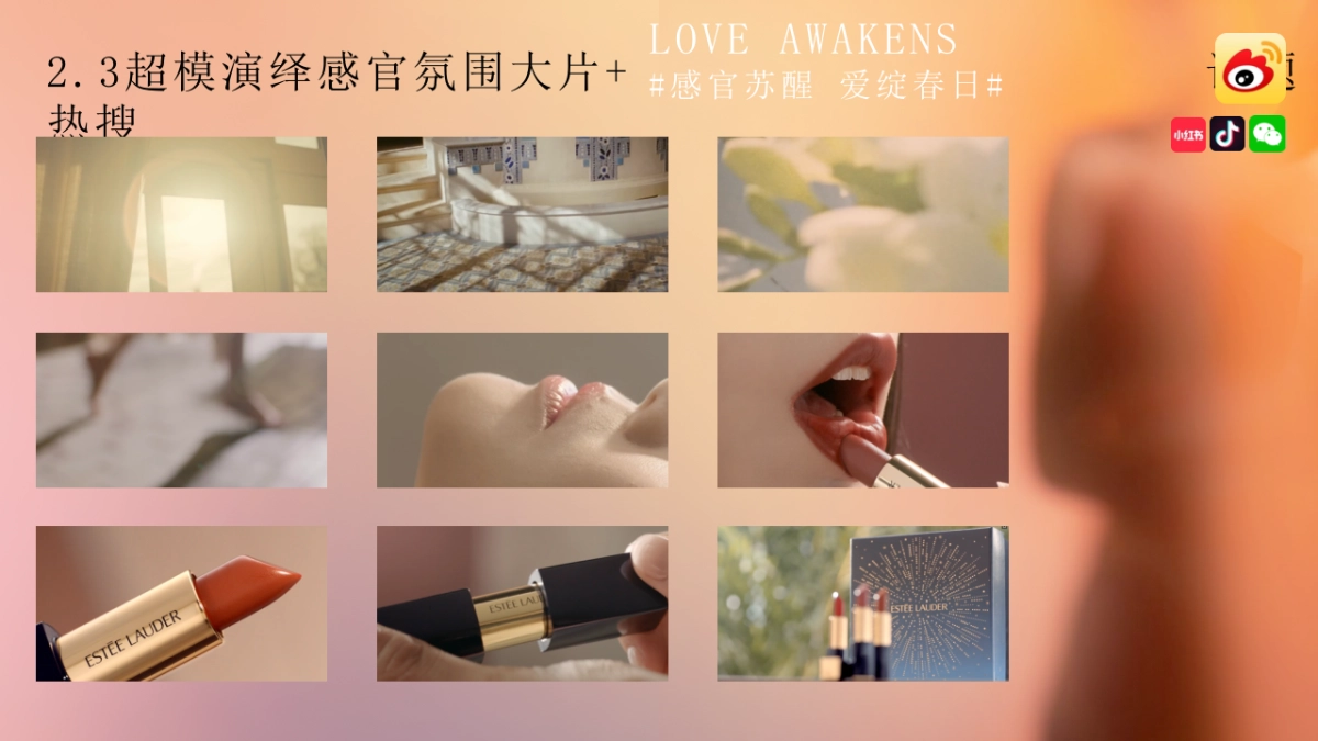 雅诗兰黛情人节春季campaign_第8页