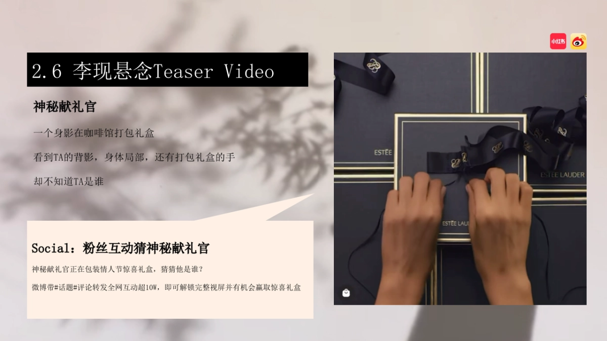 雅诗兰黛情人节春季campaign_第9页