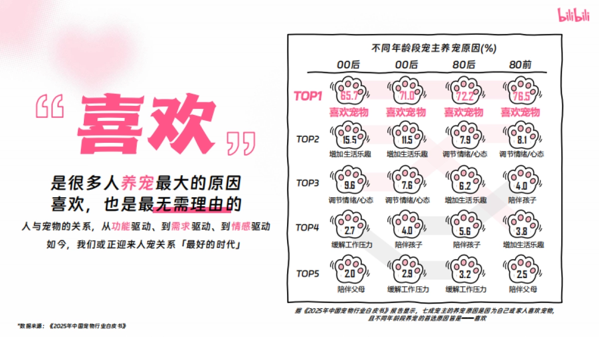 哔哩哔哩2025年宠物行业营销通案_第1页