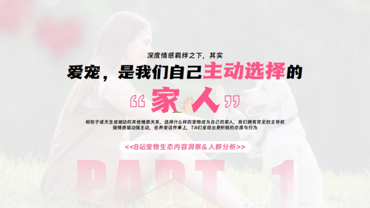 哔哩哔哩2025年宠物行业营销通案_第3页