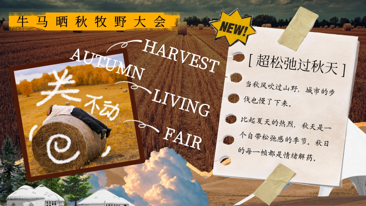2025秋季限定牛马晒秋牧野大会主题活动策划方案_第2页