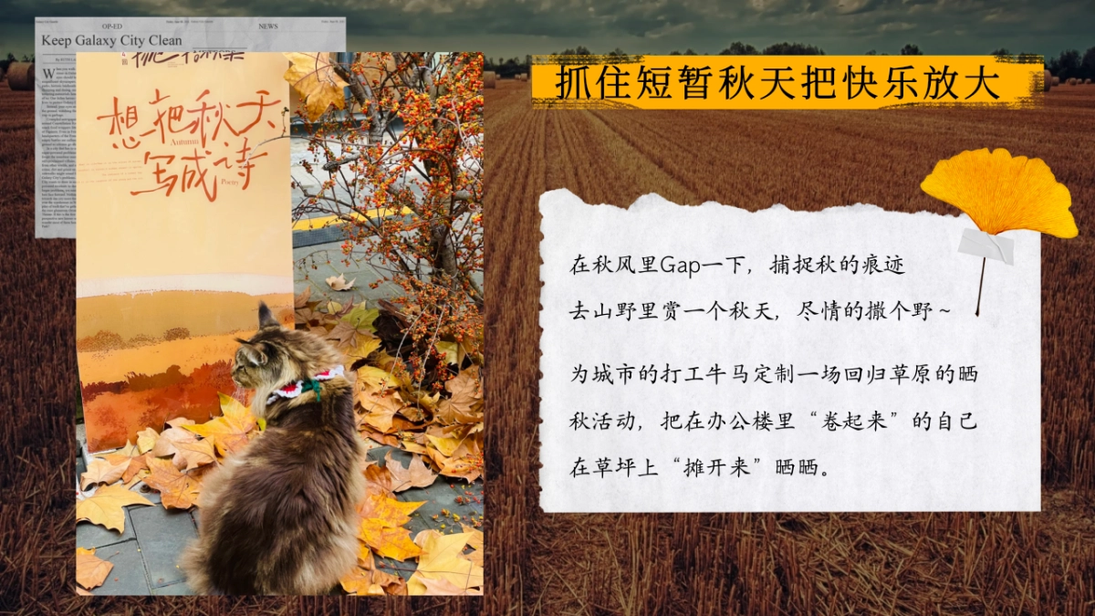 2025秋季限定牛马晒秋牧野大会主题活动策划方案_第4页