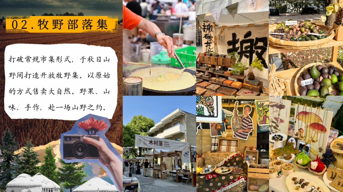 2025秋季限定牛马晒秋牧野大会主题活动策划方案_第9页