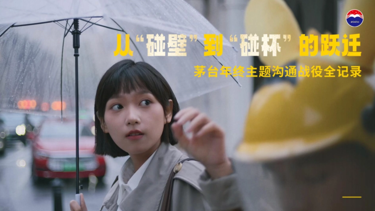 2025茅台白酒年轻化品牌年终总结营销策划方案_第1页