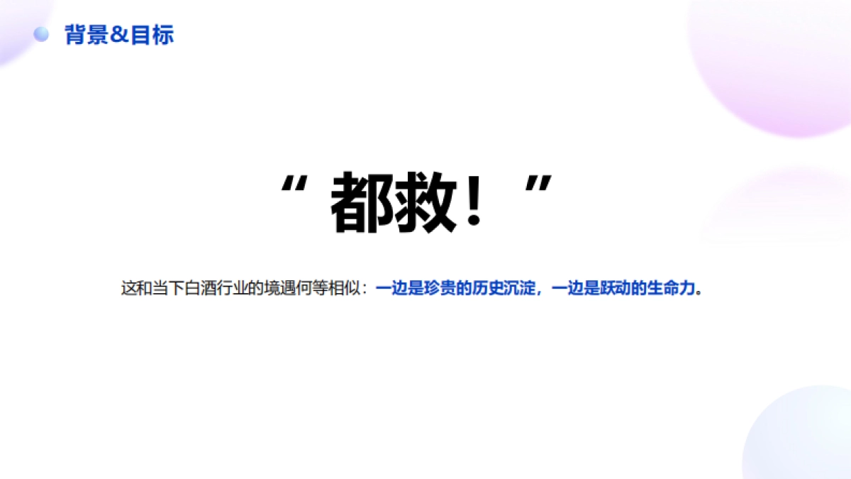 2025茅台白酒年轻化品牌年终总结营销策划方案_第3页