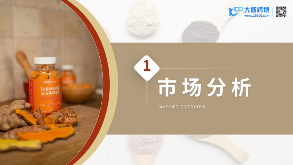 2025营养健康产品出海趋势观察-大数跨境_第4页