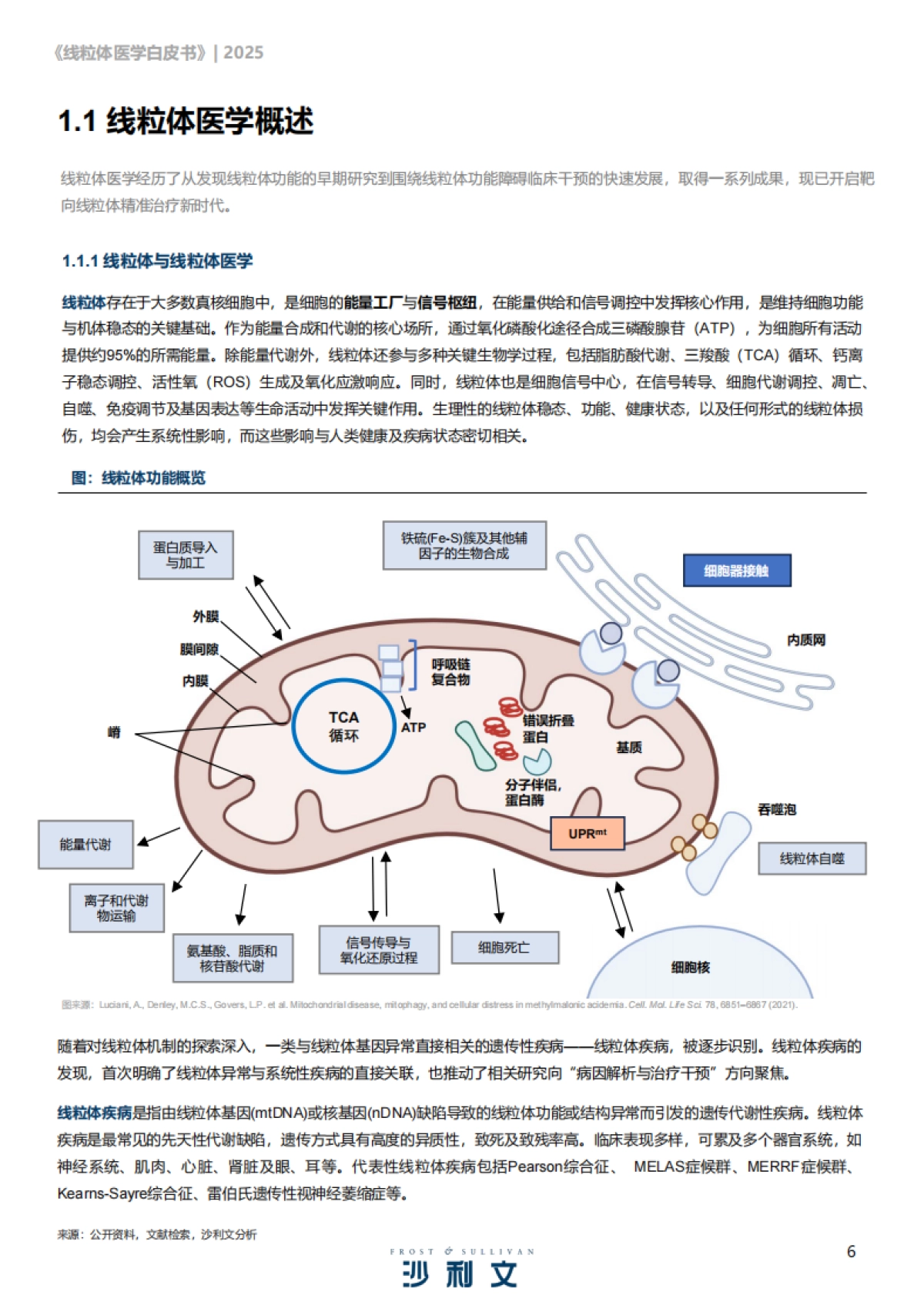 2025线粒体医学行业发展现状与未来趋势白皮书-沙利文咨询_第6页