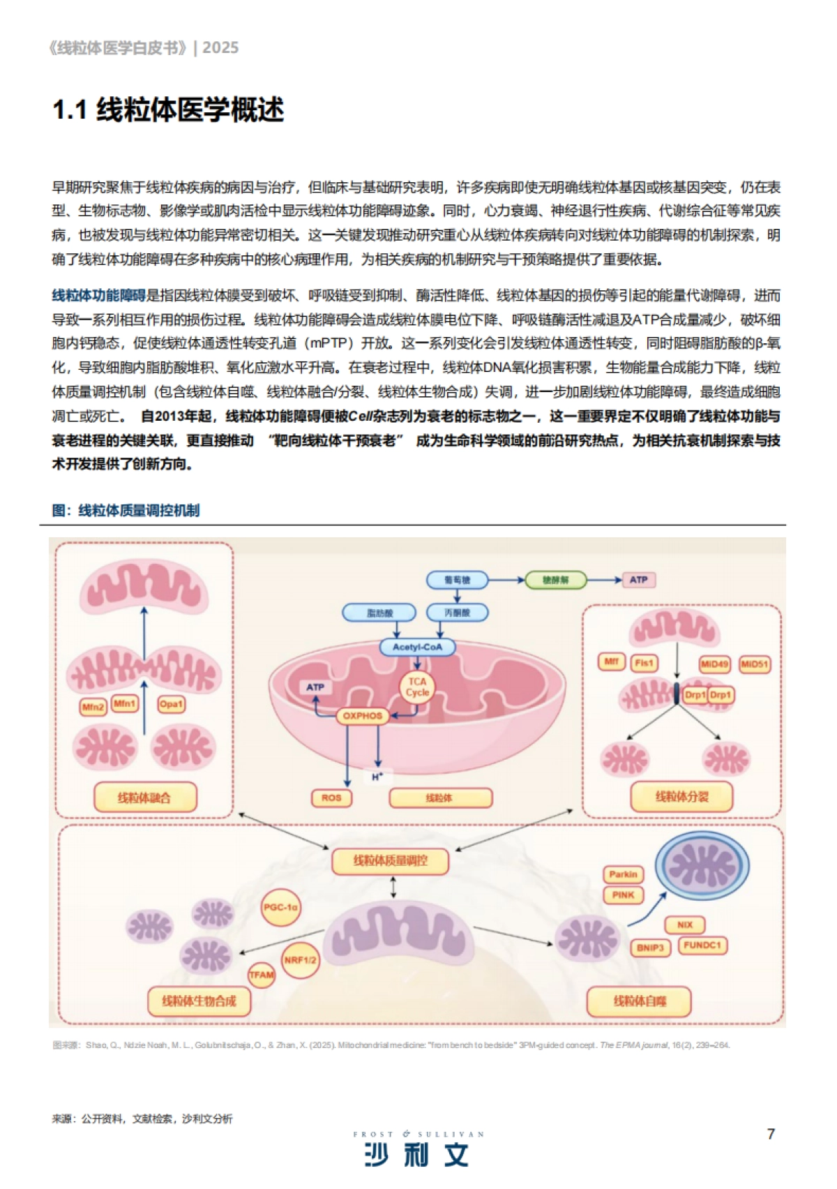 2025线粒体医学行业发展现状与未来趋势白皮书-沙利文咨询_第7页