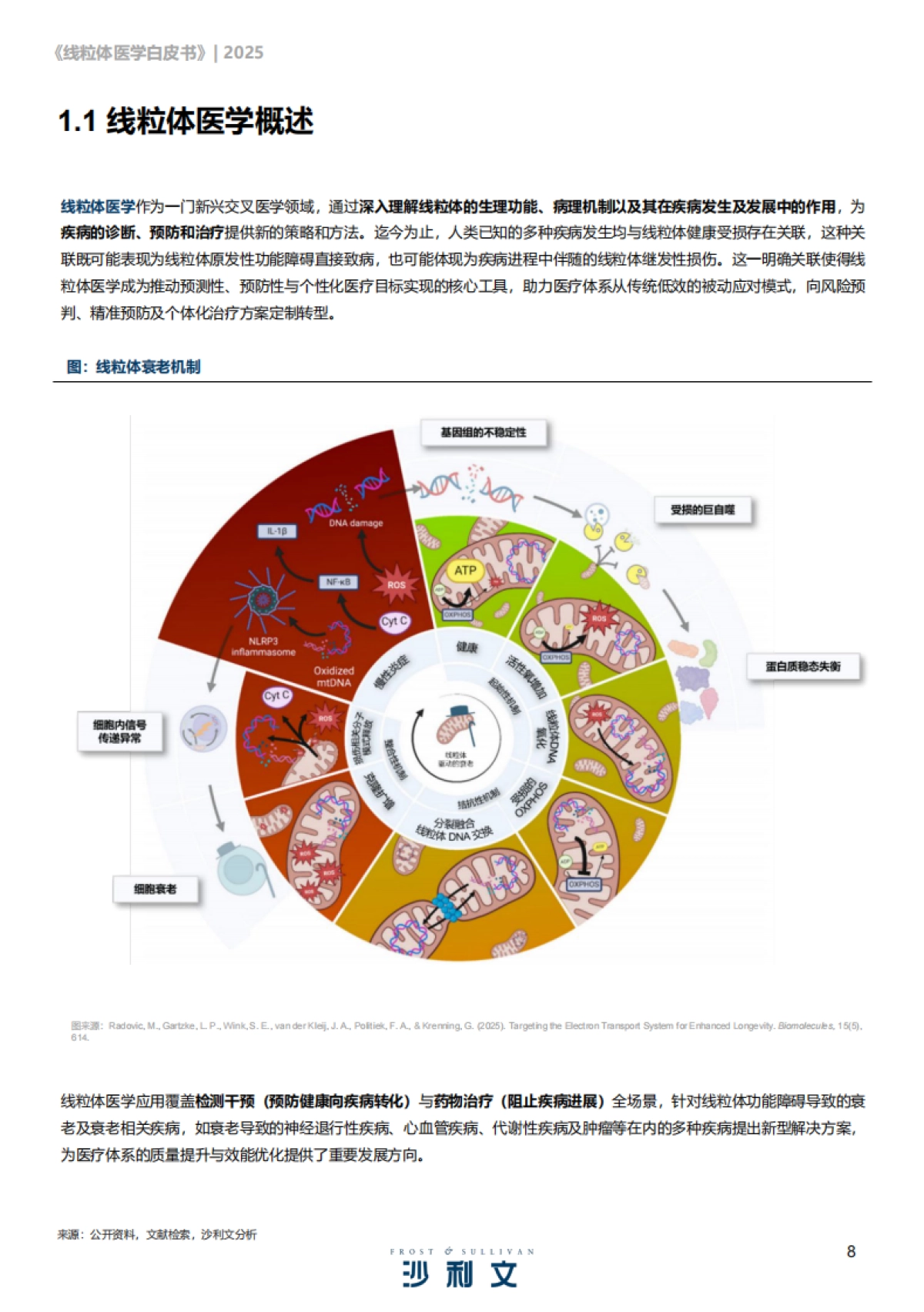 2025线粒体医学行业发展现状与未来趋势白皮书-沙利文咨询_第8页