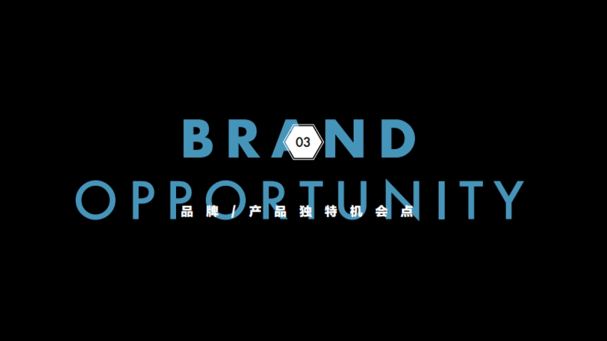 修丽可双11品牌活动整合营销_第9页