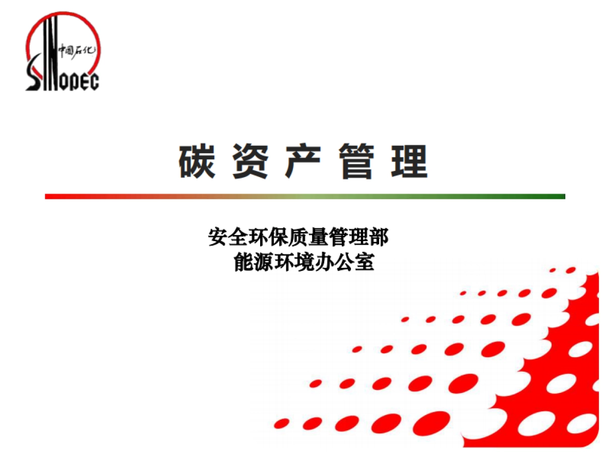 中国石化碳资产管理_第1页