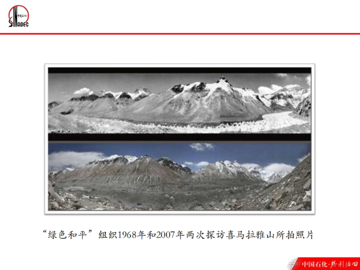 中国石化碳资产管理_第10页