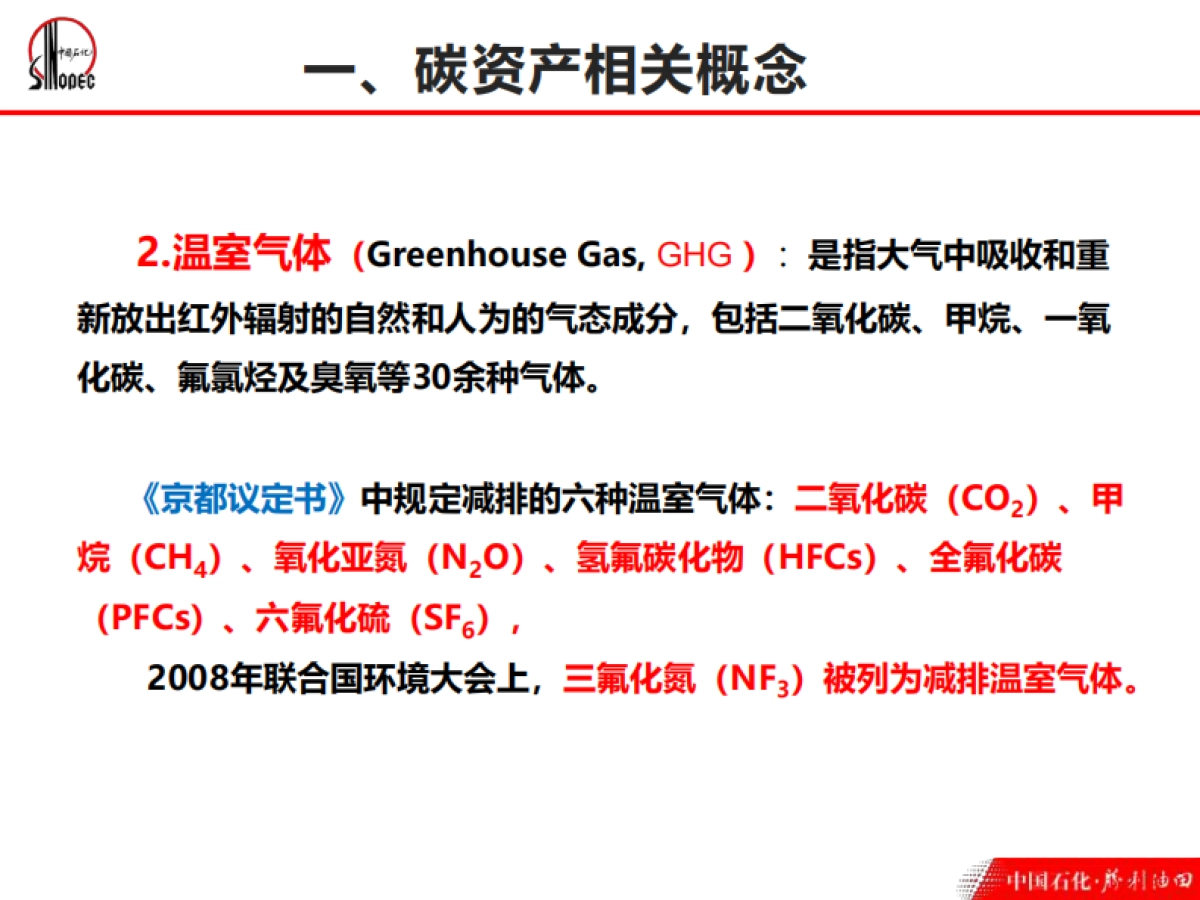 中国石化碳资产管理_第5页