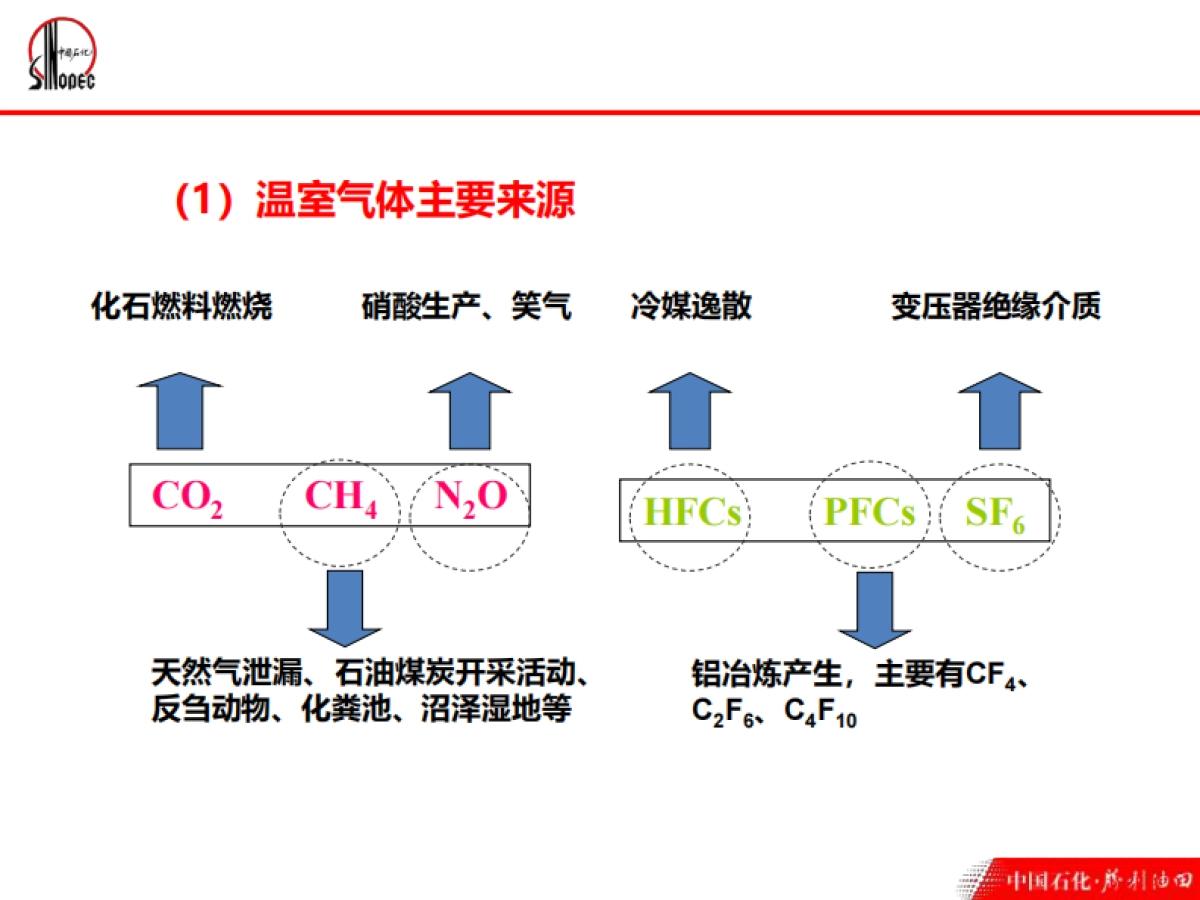 中国石化碳资产管理_第6页