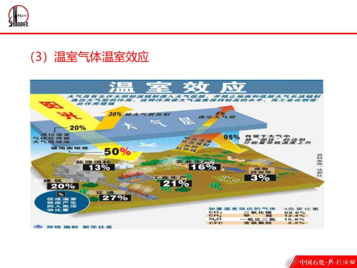 中国石化碳资产管理_第8页