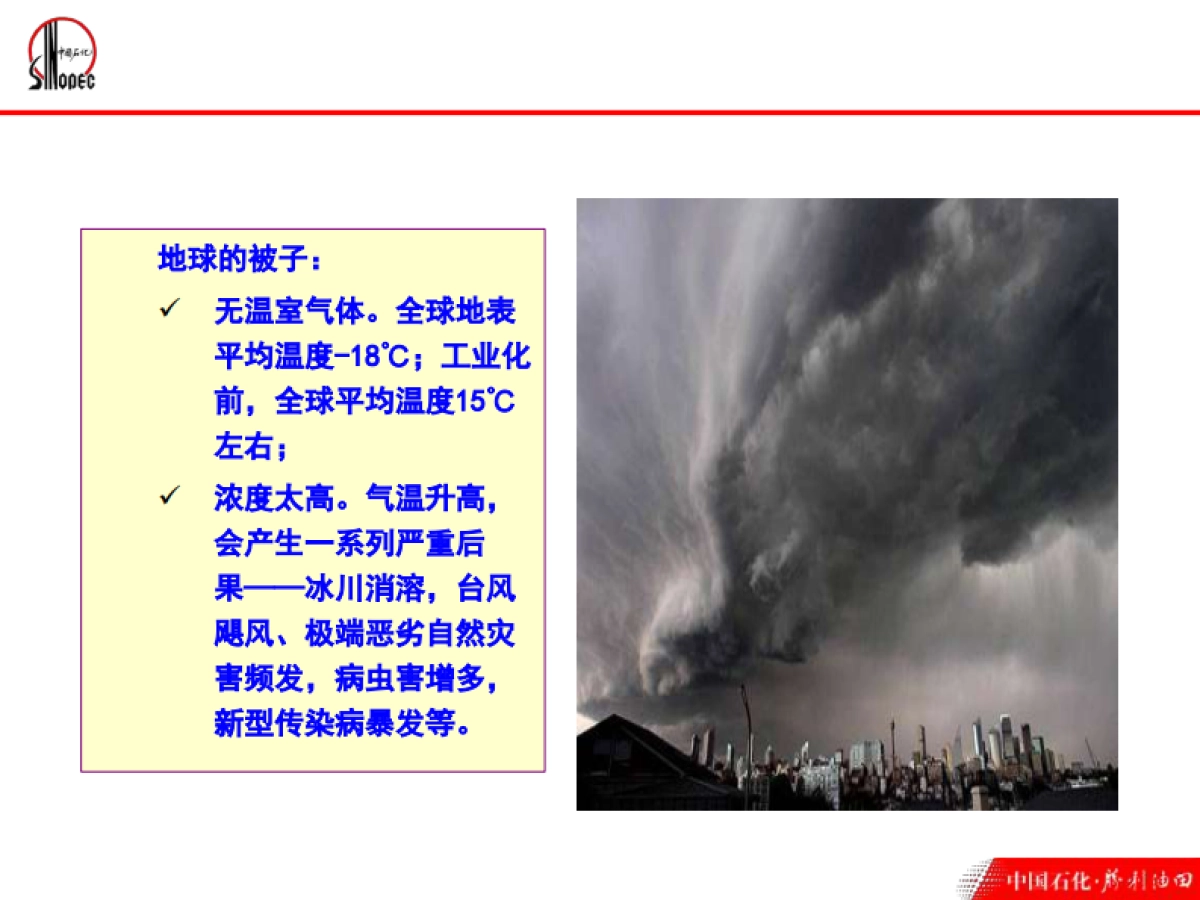 中国石化碳资产管理_第9页