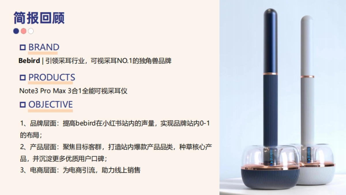 bebird小红书运营推广方案_第4页