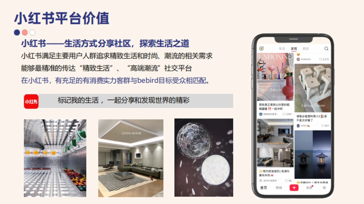 bebird小红书运营推广方案_第6页