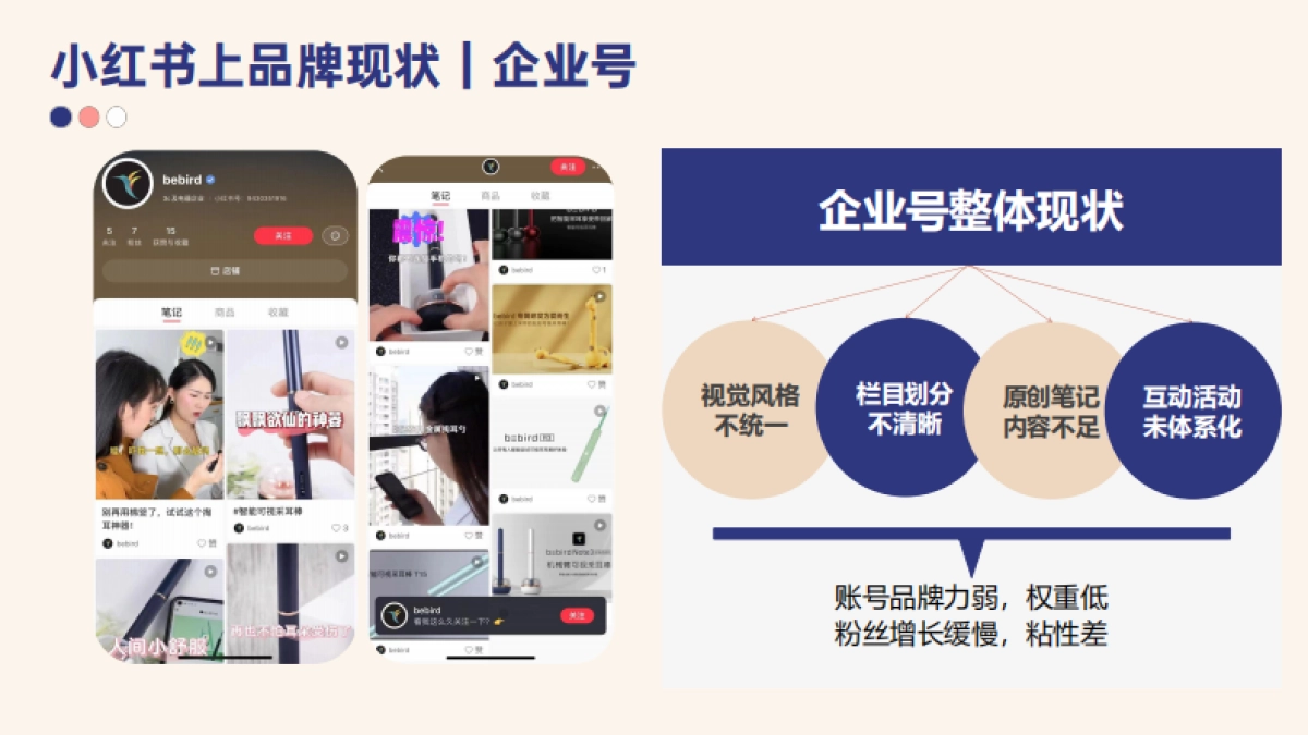 bebird小红书运营推广方案_第9页
