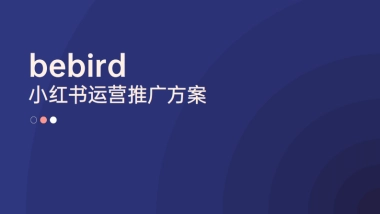 bebird小红书运营推广方案
