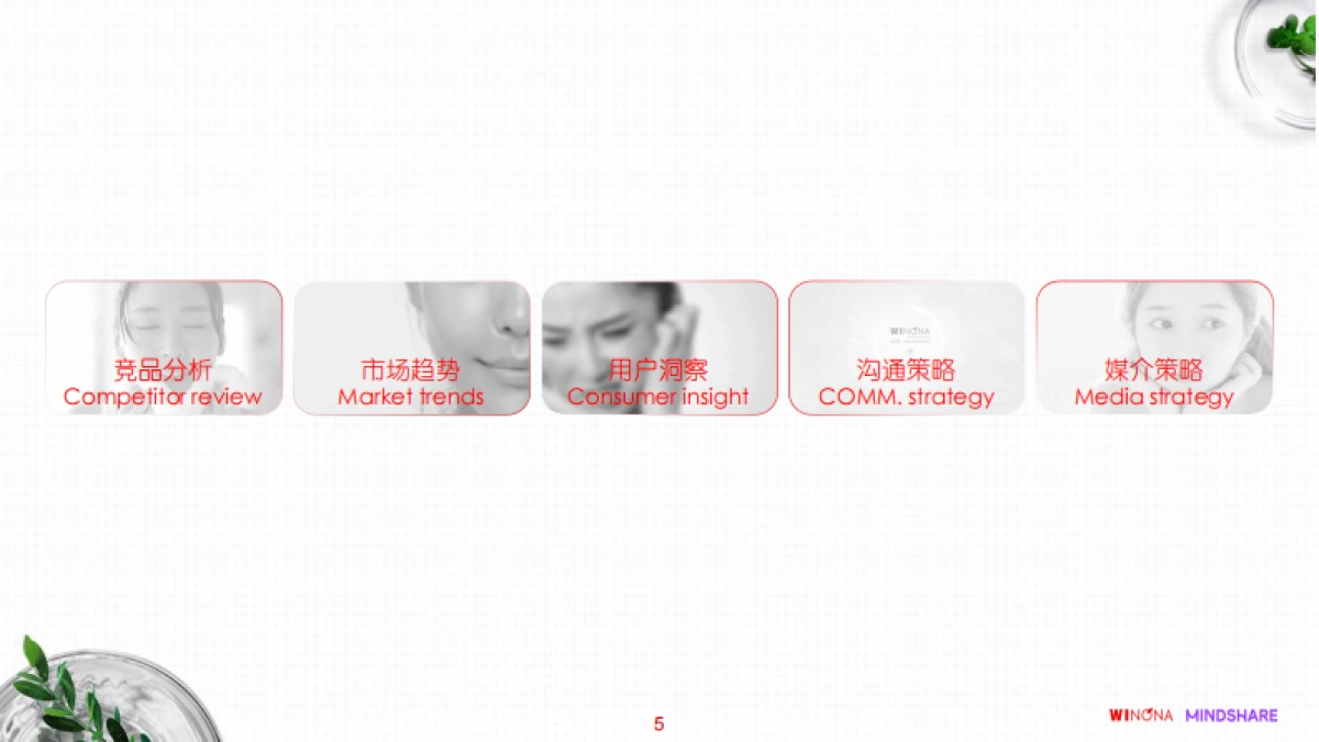 薇诺娜品牌沟通策略_提案版_第5页