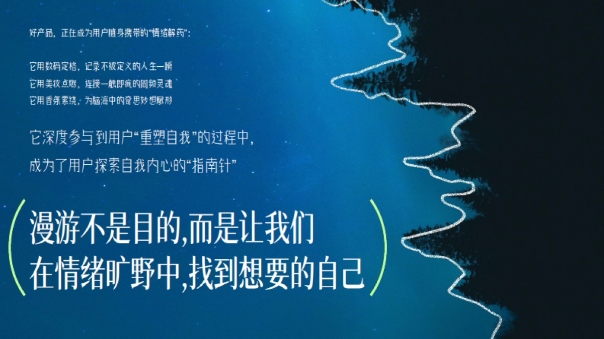 抖音【行业IP】数字漫游指南-招商数码行业营销_第10页