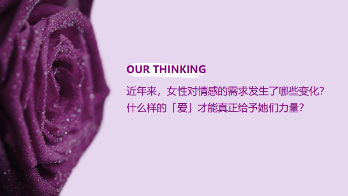 Sisley希思黎黑玫瑰 campaign proposal_第2页