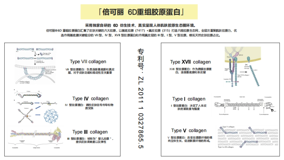 时光肌TIMESKIN胶原灌注乳敷水光面膜brief_第8页