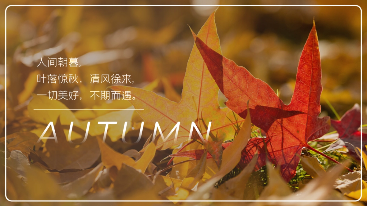 秋季出逃露营撒欢计划「万物欢喜 悦享乡野主题」活动策划方案_第2页