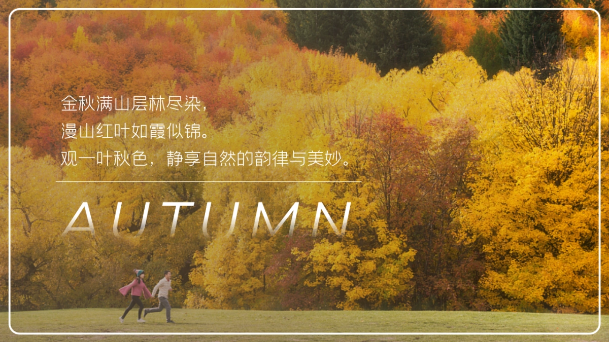 秋季出逃露营撒欢计划「万物欢喜 悦享乡野主题」活动策划方案_第3页