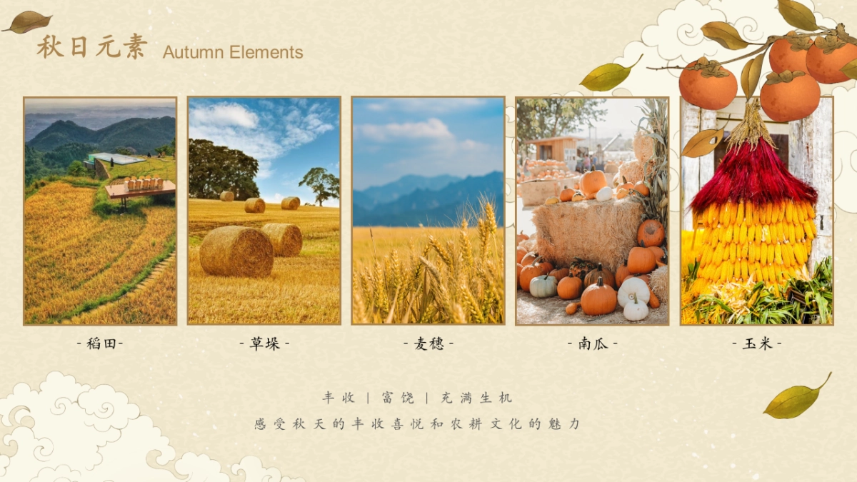 秋季出逃露营撒欢计划「万物欢喜 悦享乡野主题」活动策划方案_第8页