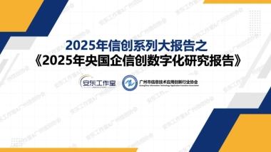 2025年央国企信创数字化研究报告-信创纵横