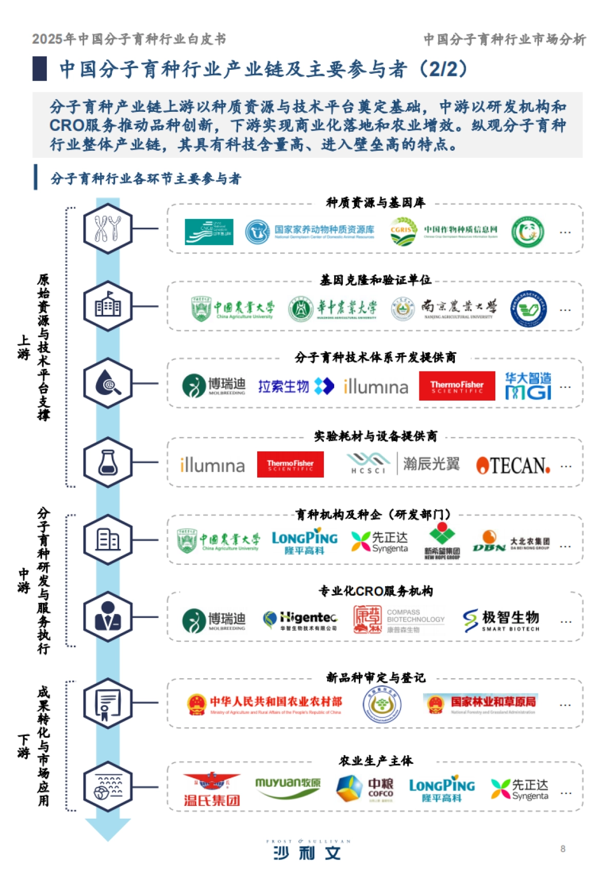 2025年中国分子育种行业白皮书-沙利文_第8页