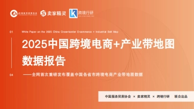 2025年中国跨境电商+产业带数据报告-卖家精灵
