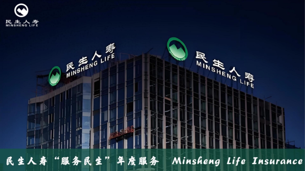 民生人寿服务年度规划方案_第1页