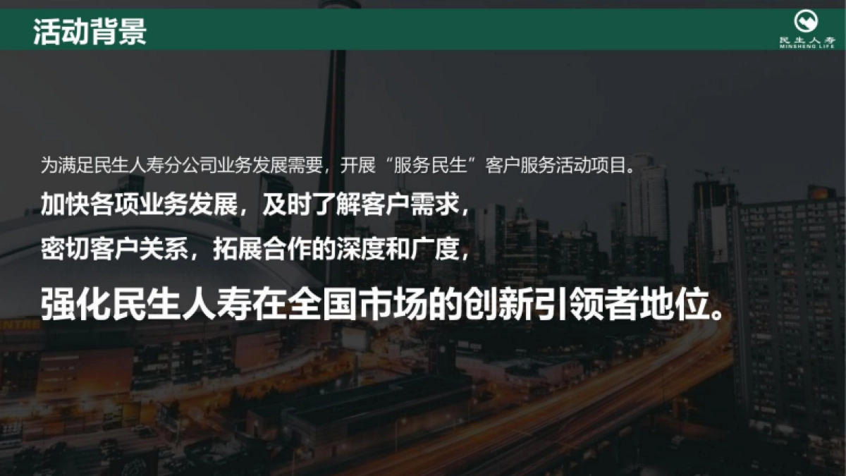 民生人寿服务年度规划方案_第3页